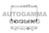 AUTOGAMMA 101993 Radiator, engine cooling